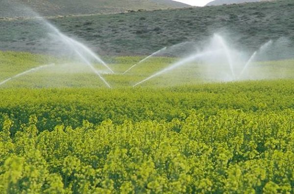  کسب و کار کشاورزی در ایران4 