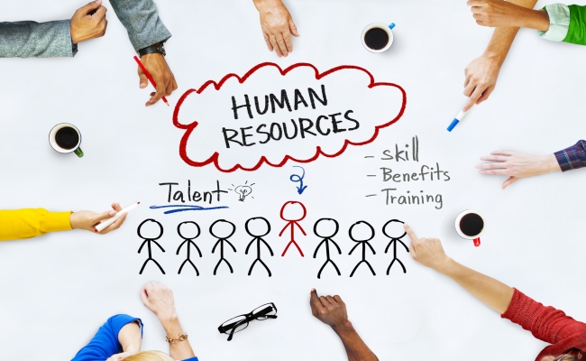  مهارت‌های کلیدی کارشناس منابع انسانی 