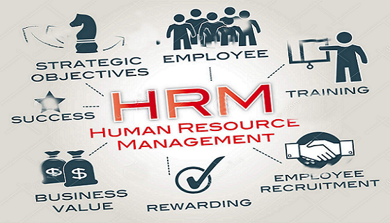  ویژگی‌های مدیریت منابع انسانی 
